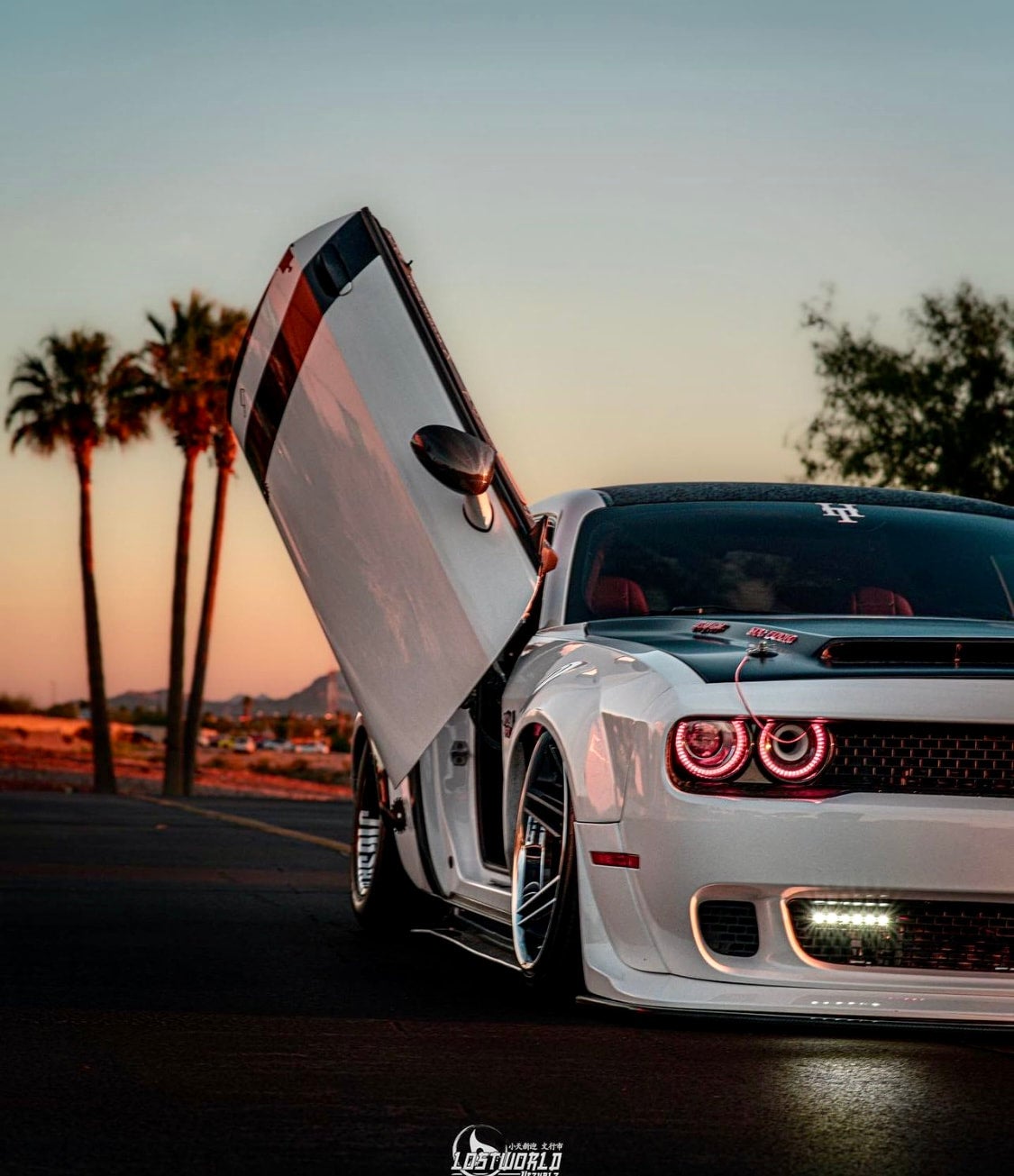 Aluminum Side Skirts / Dodge Challenger 20122023 Family Customs